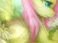 db023dd02bc64b8da53433087ac73efd.jpg